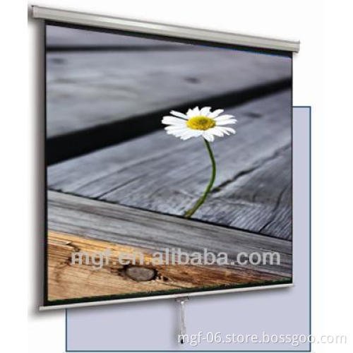 Manual Wall Mount Projector Screen